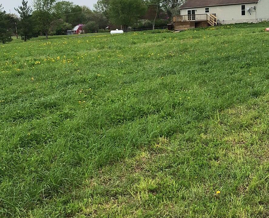 2nd image of 5625 Houseman Rd