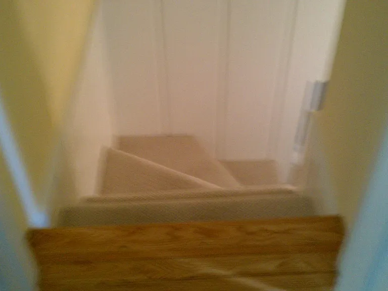 4509 Harling Ln — Photo 29