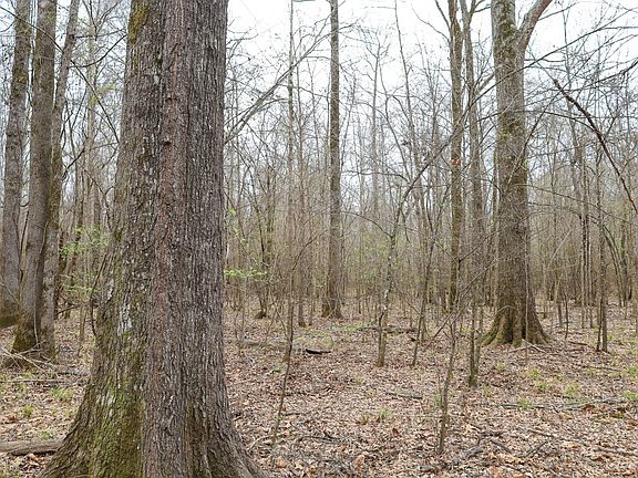 5th image of Jaril Rd