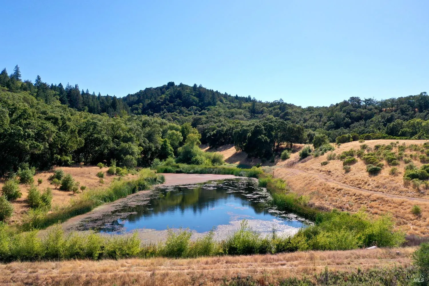 0 Dutcher Creek Road - Photo 9