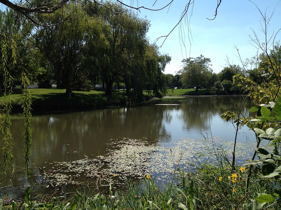 pond