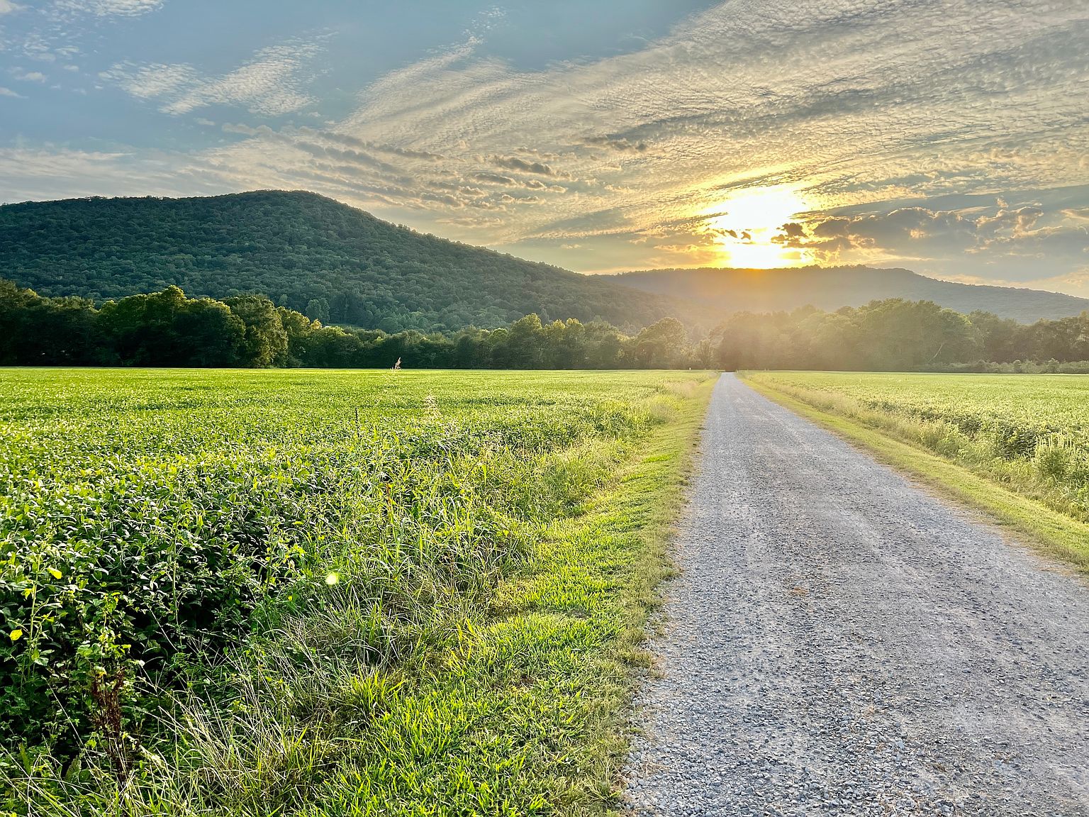 LOT WP001, Hollytree, AL 35751 Zillow