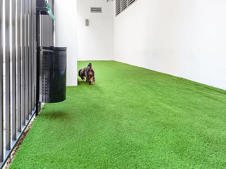 Dog walking area | Grand Station
