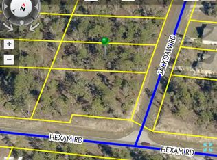 11064 Jackdaw Rd, Weeki Wachee, FL 34614