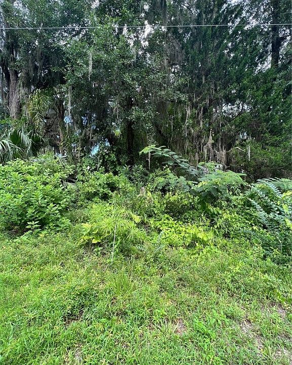 LOT 9 Piney Bluff Rd, Waverly, GA 31565 MLS 1635230 Zillow