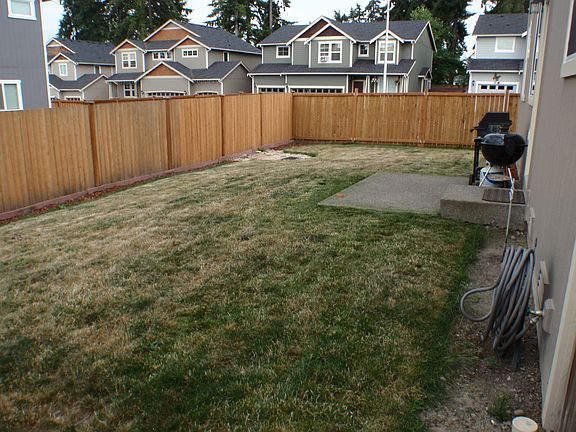 Big Back Yard