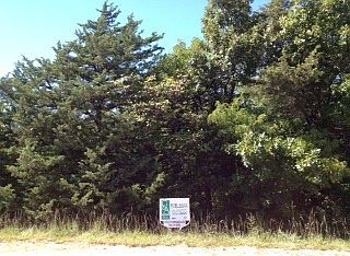 1st image of 198 Elizabeth Dr