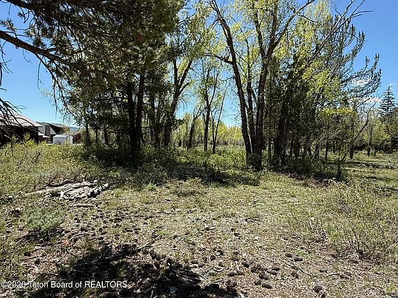 5th image of LOT 161 Paintbrush Ct