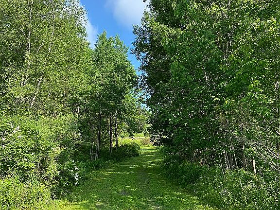 3rd image of 615 County Road 36