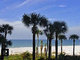 1st image of 1600 Gulf Blvd APT 215