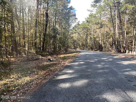 4th image of 0 Pelahatchie Rd