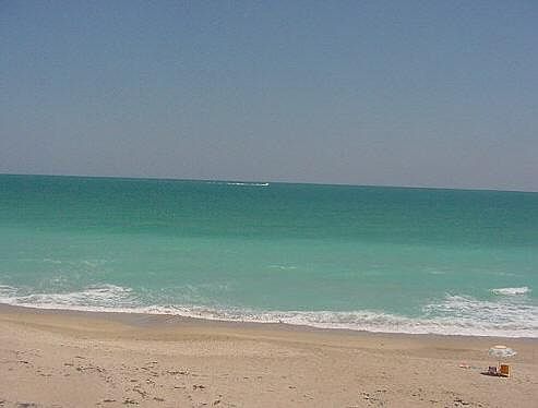 1st image of 9400 S Ocean Dr APT 405B