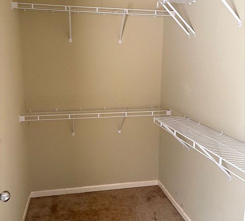 5th image of 541 Mulberry St