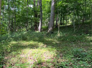 Coplin Run Rd, Bridgeport, WV 26330