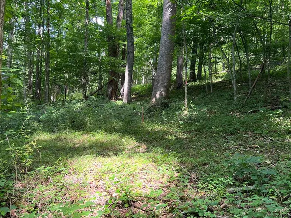 Coplin Run Rd, Bridgeport, WV 26330