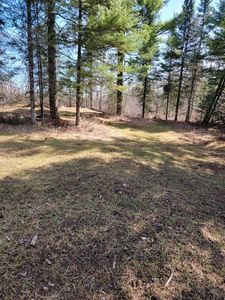 On Luds Lane, Winter, WI, 54896