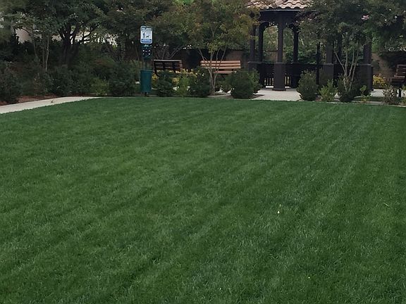 Green belt in front privacy