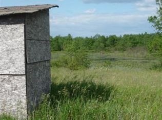 Roosevelt Rd, Remus, MI 49340