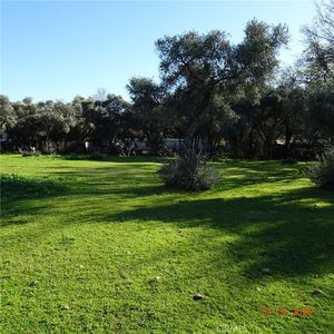2549 Palermo Rd, Palermo, CA, 95968
