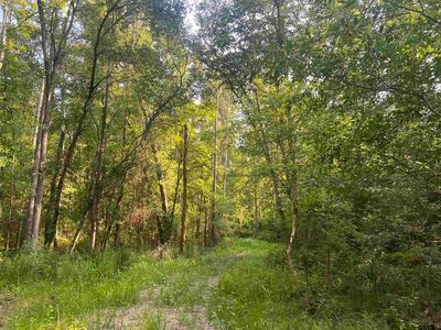 14252 County Road 426, Lindale, TX, 75771