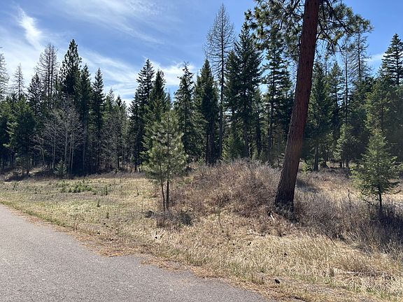 3rd image of 238 Haskill Ranch Rd #1