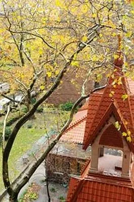 Rented by Lyn Singleton LREB | media 16