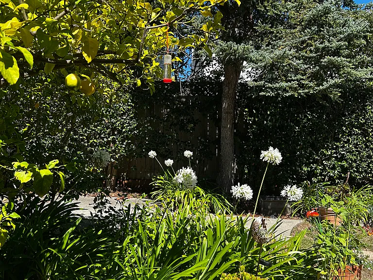 28 Devonshire Blvd #36 — Photo 3