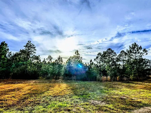 0 Royal Ln #1, Elberta, AL 36530