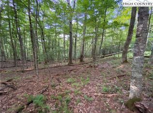 8 Finally Way, Banner Elk, NC 28604