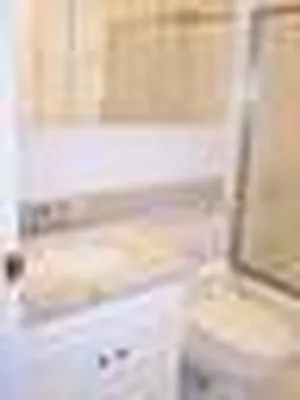 Rented by NY Best Homes Realty | media 20