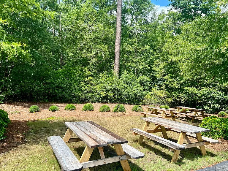 824 Rolling Pines Loop Rd — Photo 15