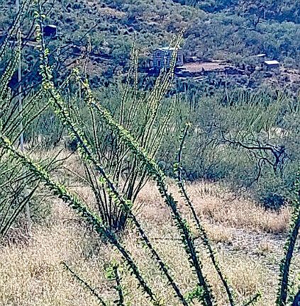 4th image of 16231 E HILLTON RANCH Road #-