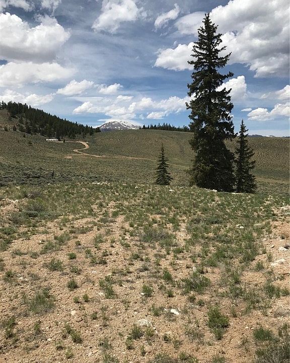 2nd image of Parcel 1-A Tract 43