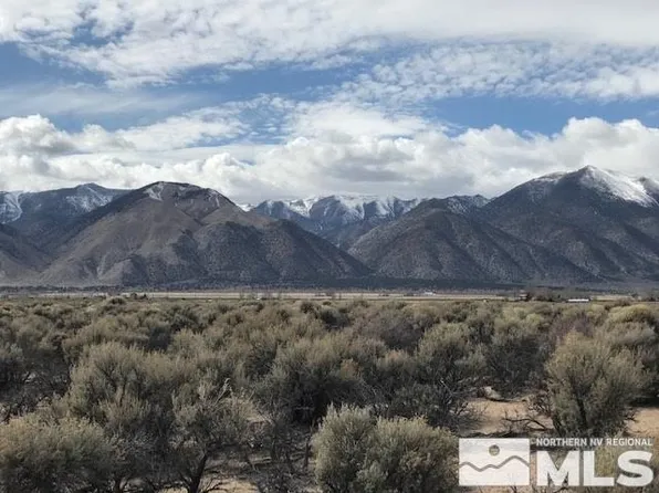 151 Surandon Ln, Wellington, NV 89444