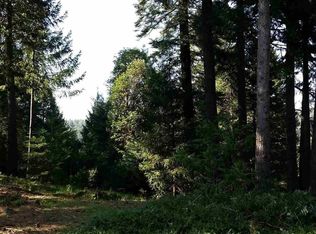 16496 Meadow Vista Dr, Pioneer, CA