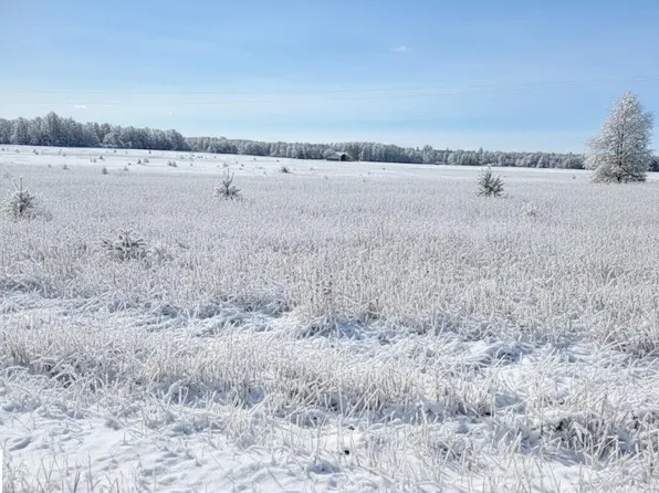 F Walton Rd, Kingsley, MI 49649