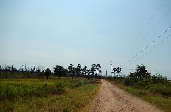 2nd image of 111 Edwards Ln