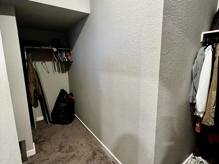 11546 Wayne Carreon St — Photo 30