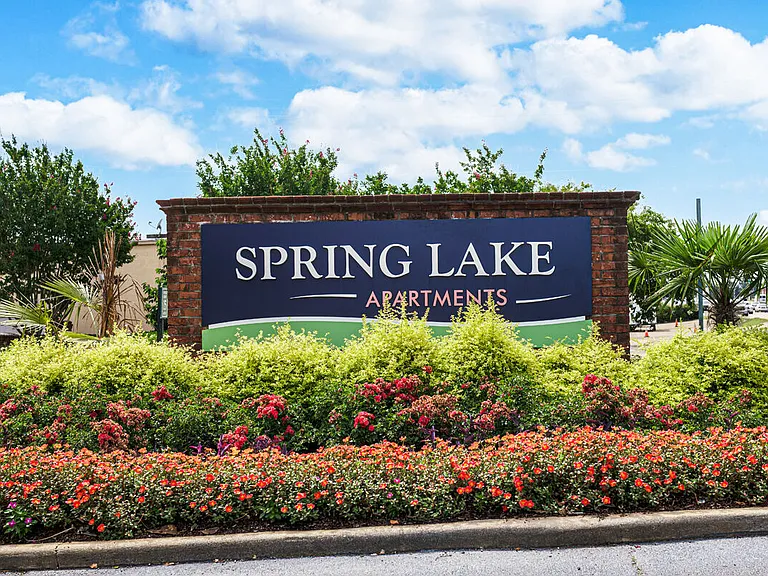 Spring Lake — Photo 16
