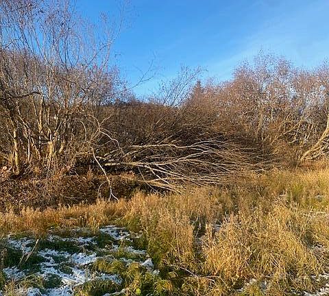 2nd image of L19 Shelby Kay St