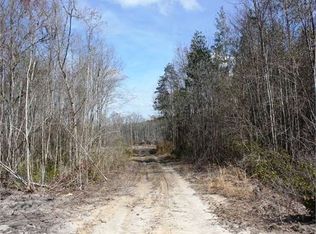 Osteen Rd, Bloomingdale, GA 31302