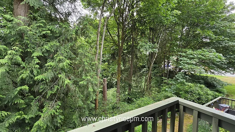 3 bed, 1.5 bath, 1275 sqft, $2,895 — Photo 3