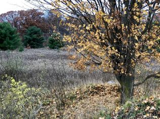 S Mocking Bird Ln, Grant, MI 49327