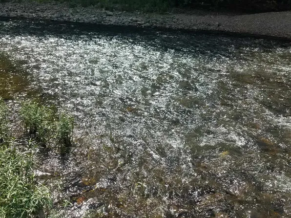 (undisclosed Address), Mena, AR 71953