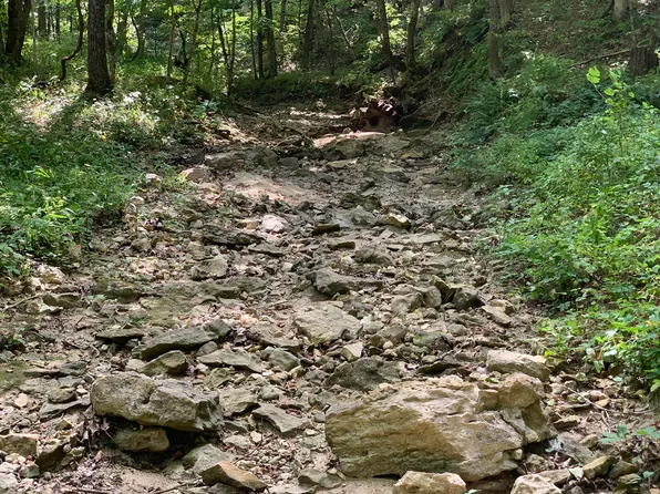 Branch Rd, Fulton, MO 65251