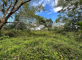 Pahoa Rd LOT 8299, Kurtistown, HI 96760