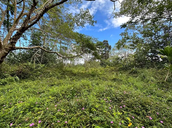 Pahoa Rd Lot 8299, Kurtistown, HI 96760