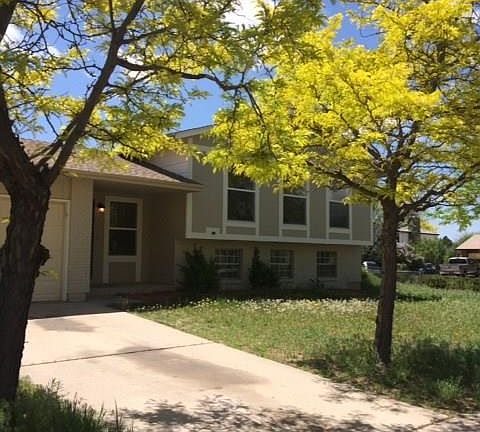 Nice trees greet you upon pulling in to the driveway.