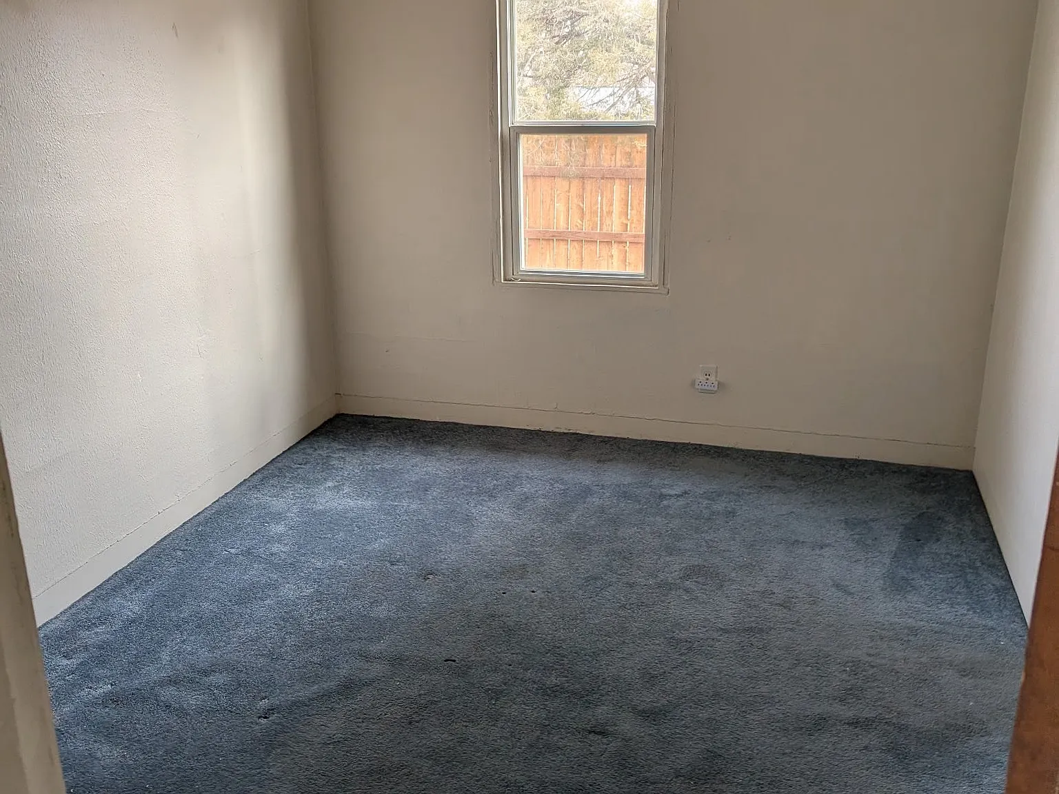 1 bed, $750 — Photo 4
