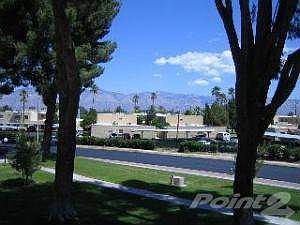 Primary Photo